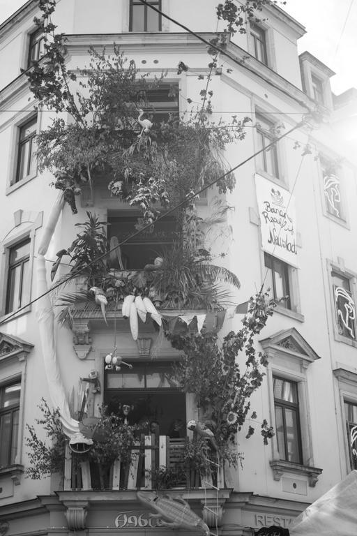 Mirabelle - Wohnen In Der Dresdner Neustadt Dresde Extérieur photo